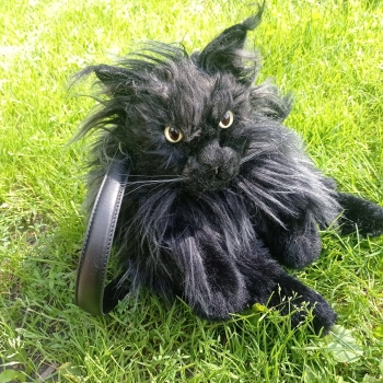 Black Fluffy Cat Plush Sling Bag with Adjustable - Image 2